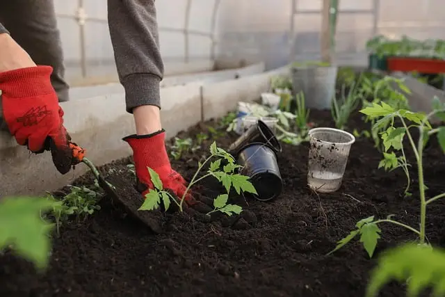 Tuinman in barneveld
