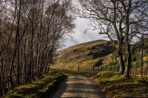 Bedrijven in Barneveld Wandelroutes in Barneveld